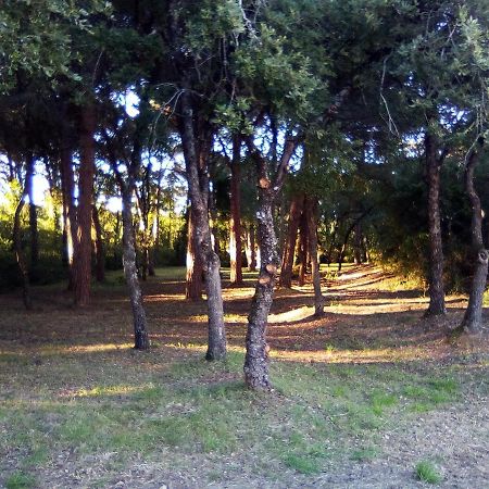 Enjoy The Best Of Countryside Leiria Exterior foto